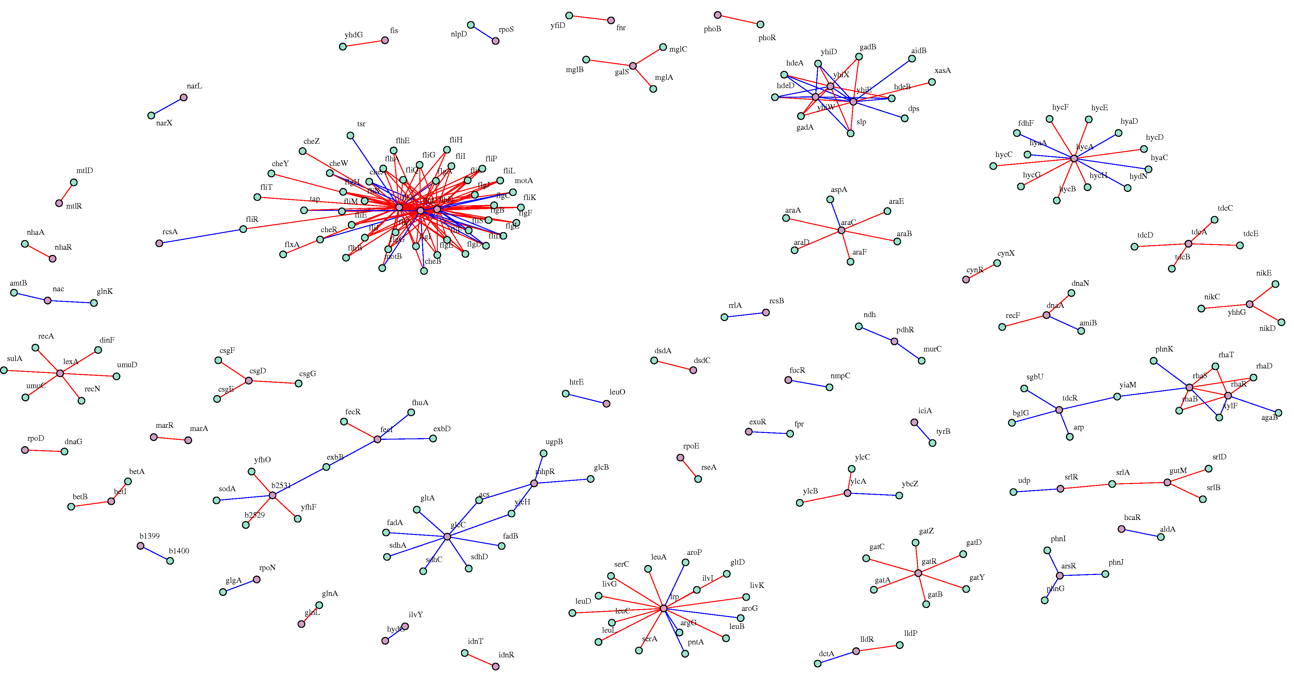 Transcription Graph Gene Inference