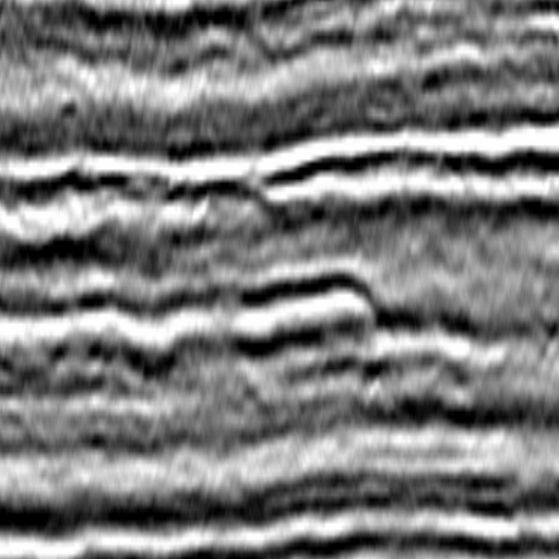 CatsEyes: classification of seismic textures (flat morphology)
