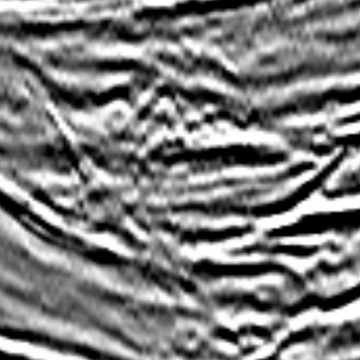 CatsEyes: classification of seismic textures (fold morphology)