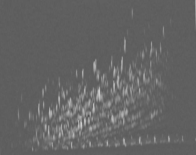 BARCHAN Chromatographic peaks and noise baseline separation with sparsity