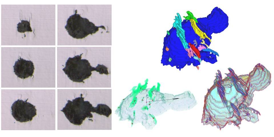 ICIP 2014: Shape analyses of an inclusion and its cracks in a bearing steel